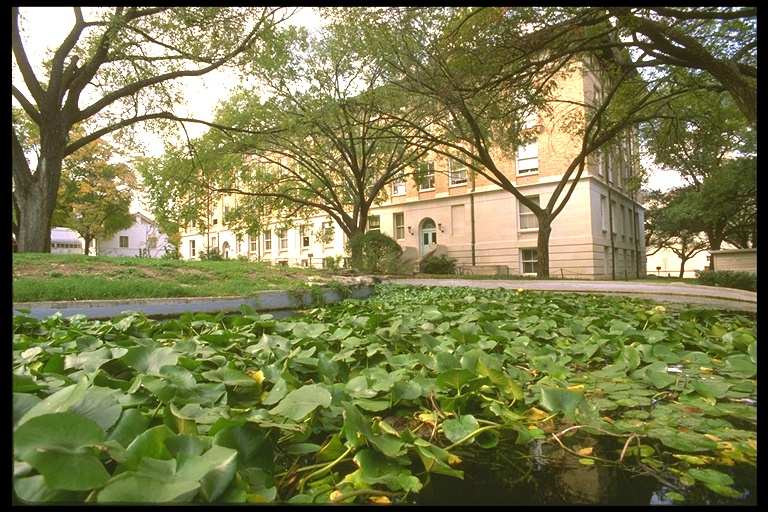 德克萨斯大学奥斯汀分校